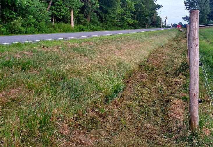 AFTER: Arcadia Mowing provides professional ditch mowing services